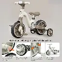 convertible tricycle bike  2.webp