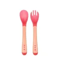 Safari Color changing fork & spoon